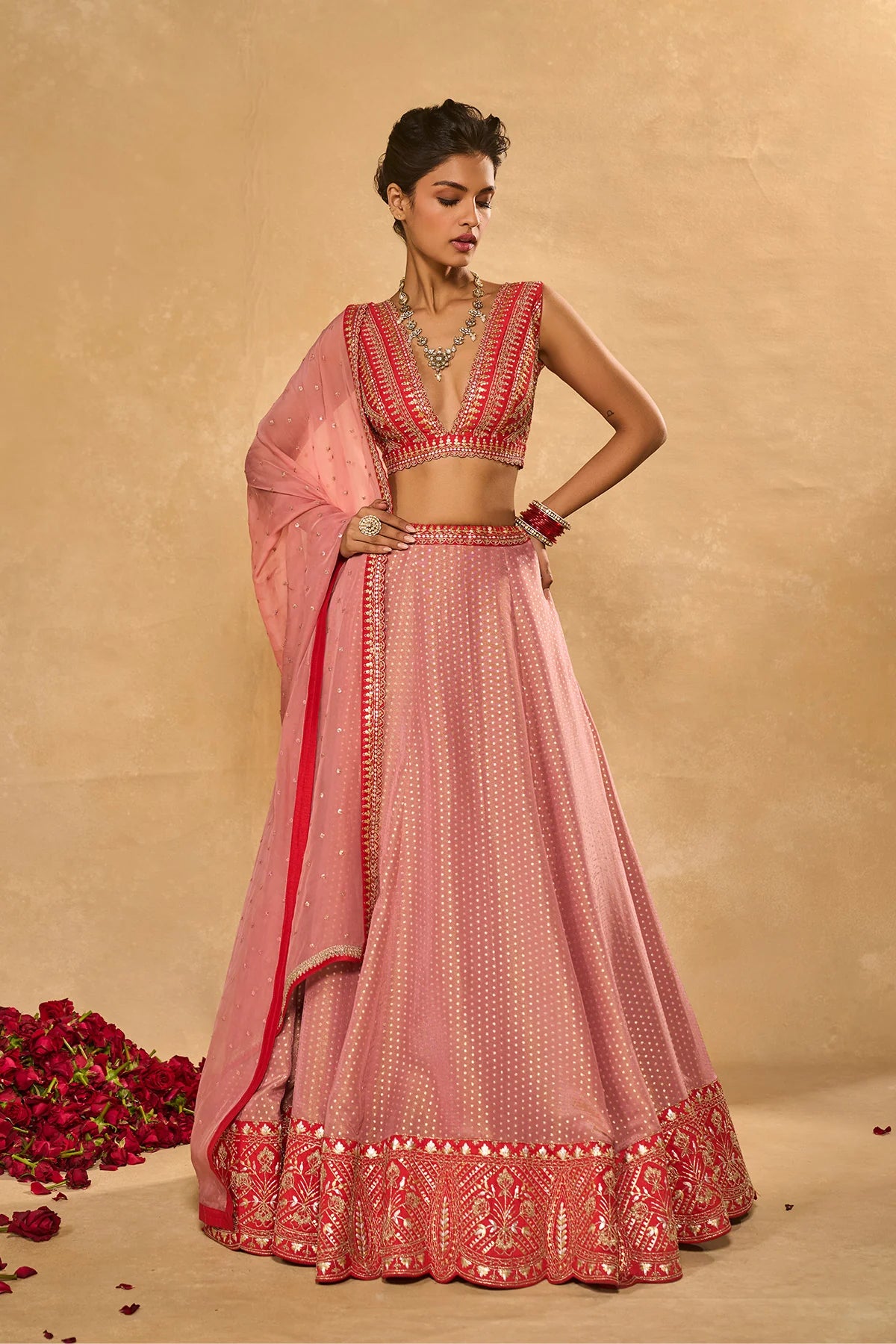 Mina Daman Lehenga
