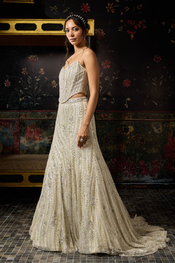 Silver Fully Embellished Mermaid Lehenga Trail Set - Ready to Ship