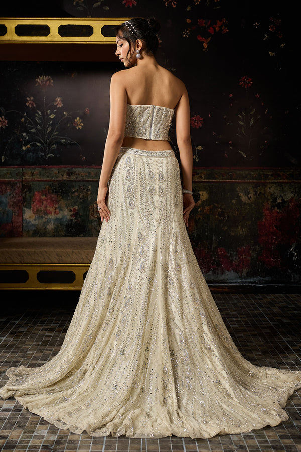 Silver Fully Embellished Mermaid Lehenga Trail Set - Ready to Ship
