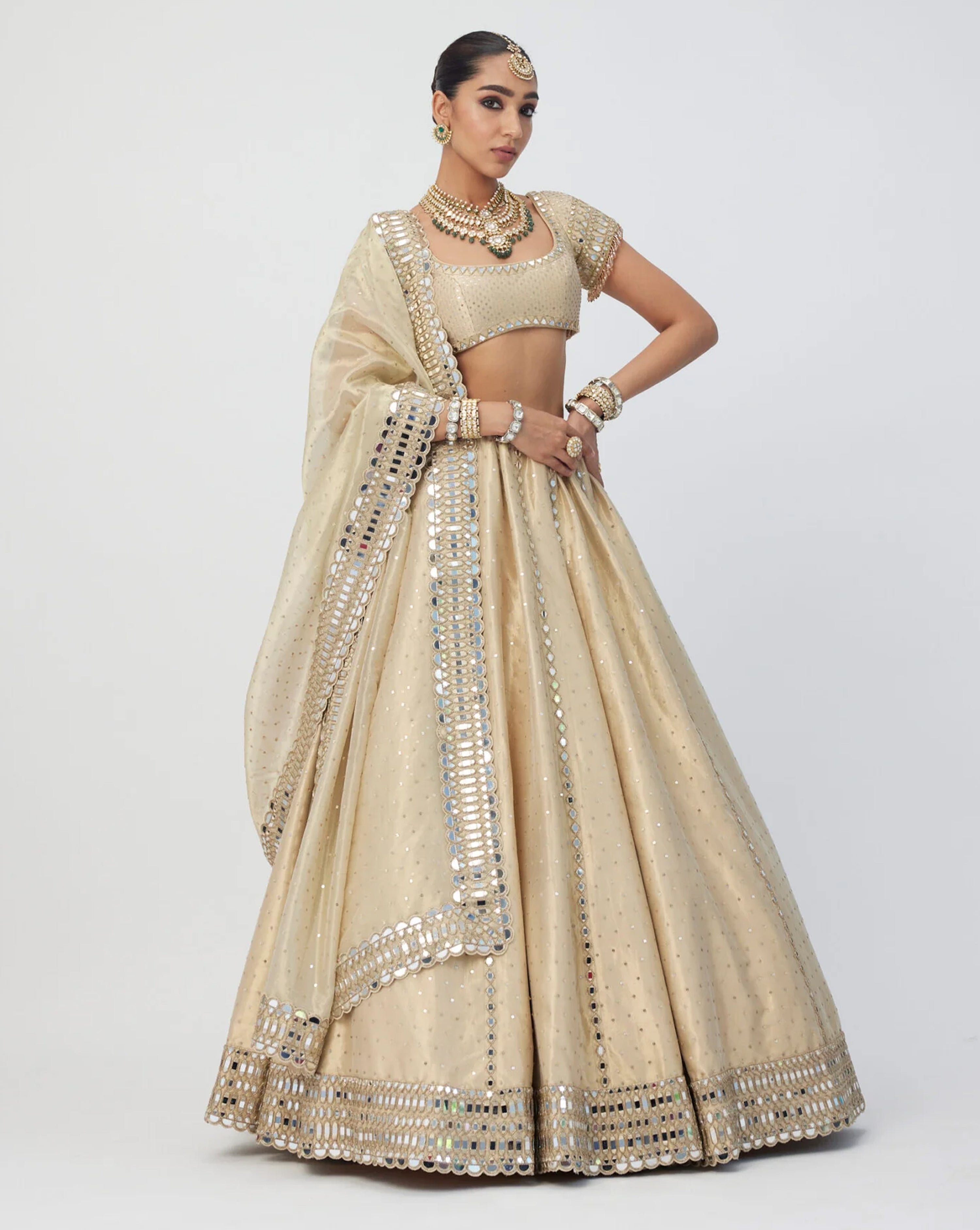 Golden Shimmer Organza Linear Lehenga Set