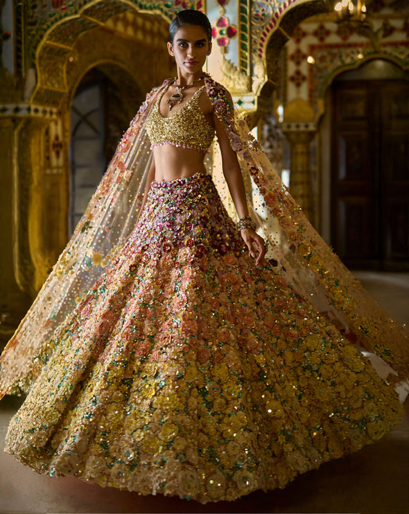Opalescence multi panelled lehenga set