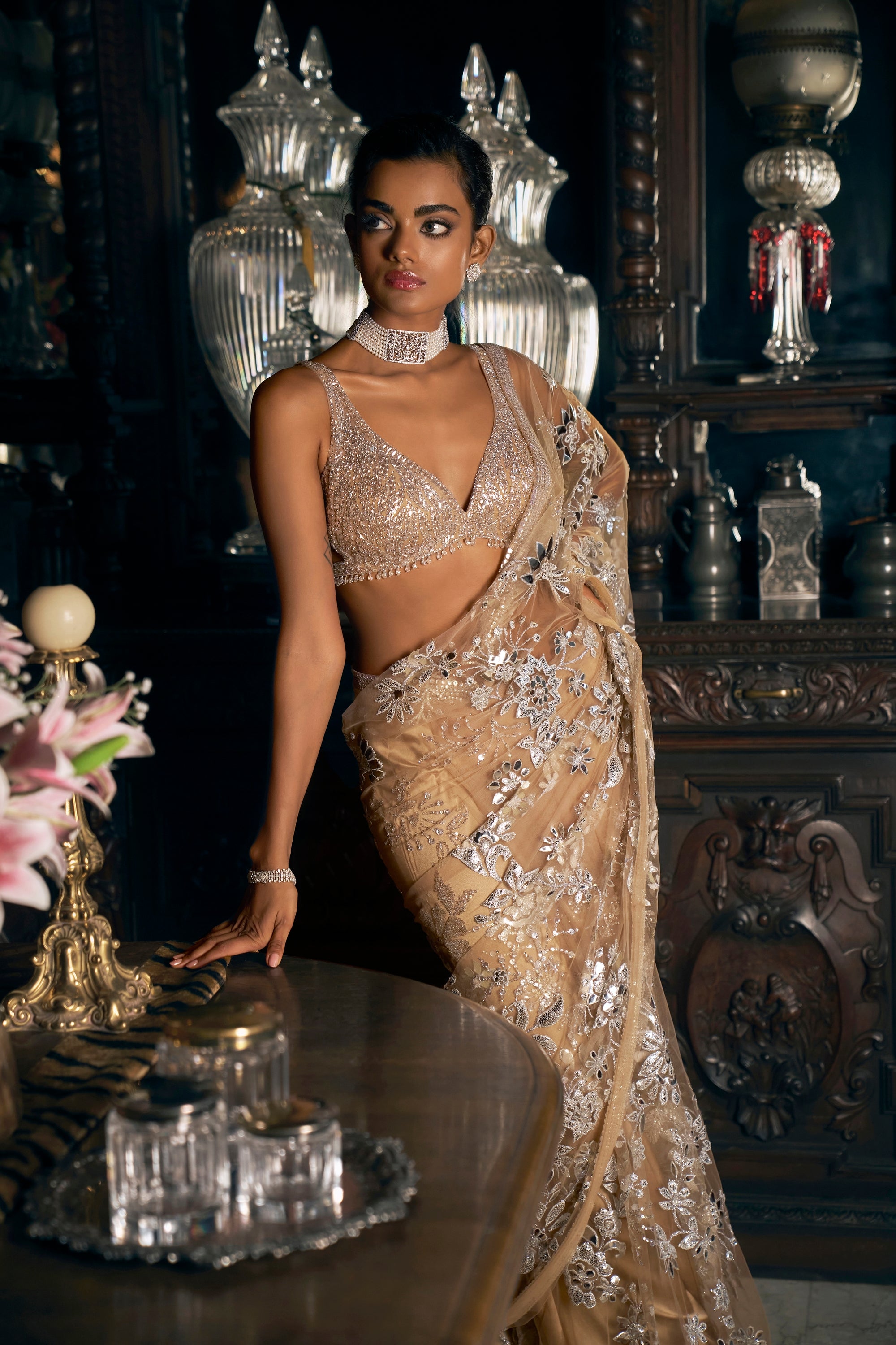 Nude Silver Applique Saree