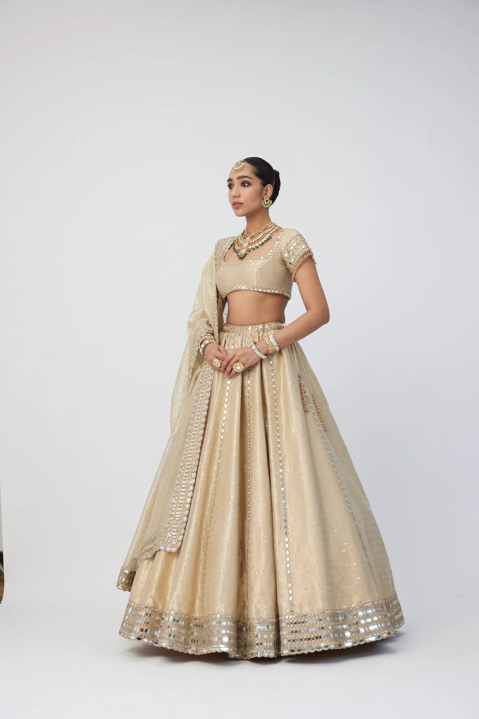 Golden Shimmer Organza Linear Lehenga Set