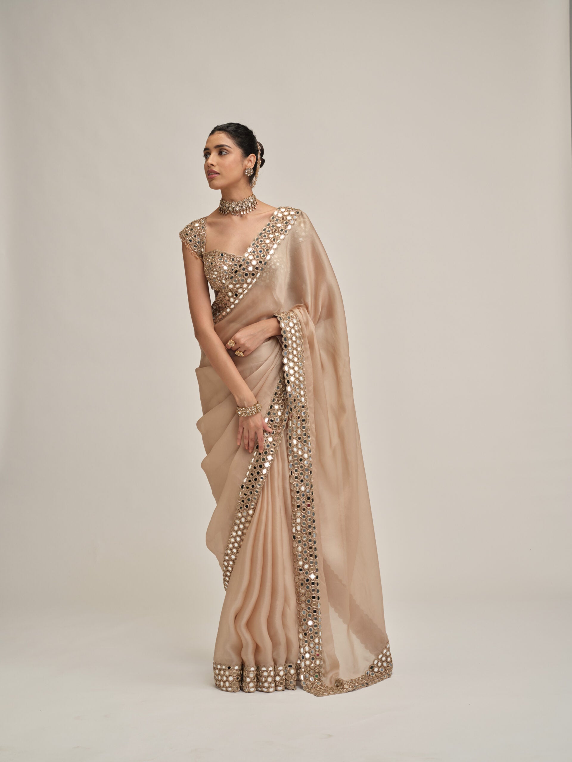 Light Beige Mirror Border Saree Set 5