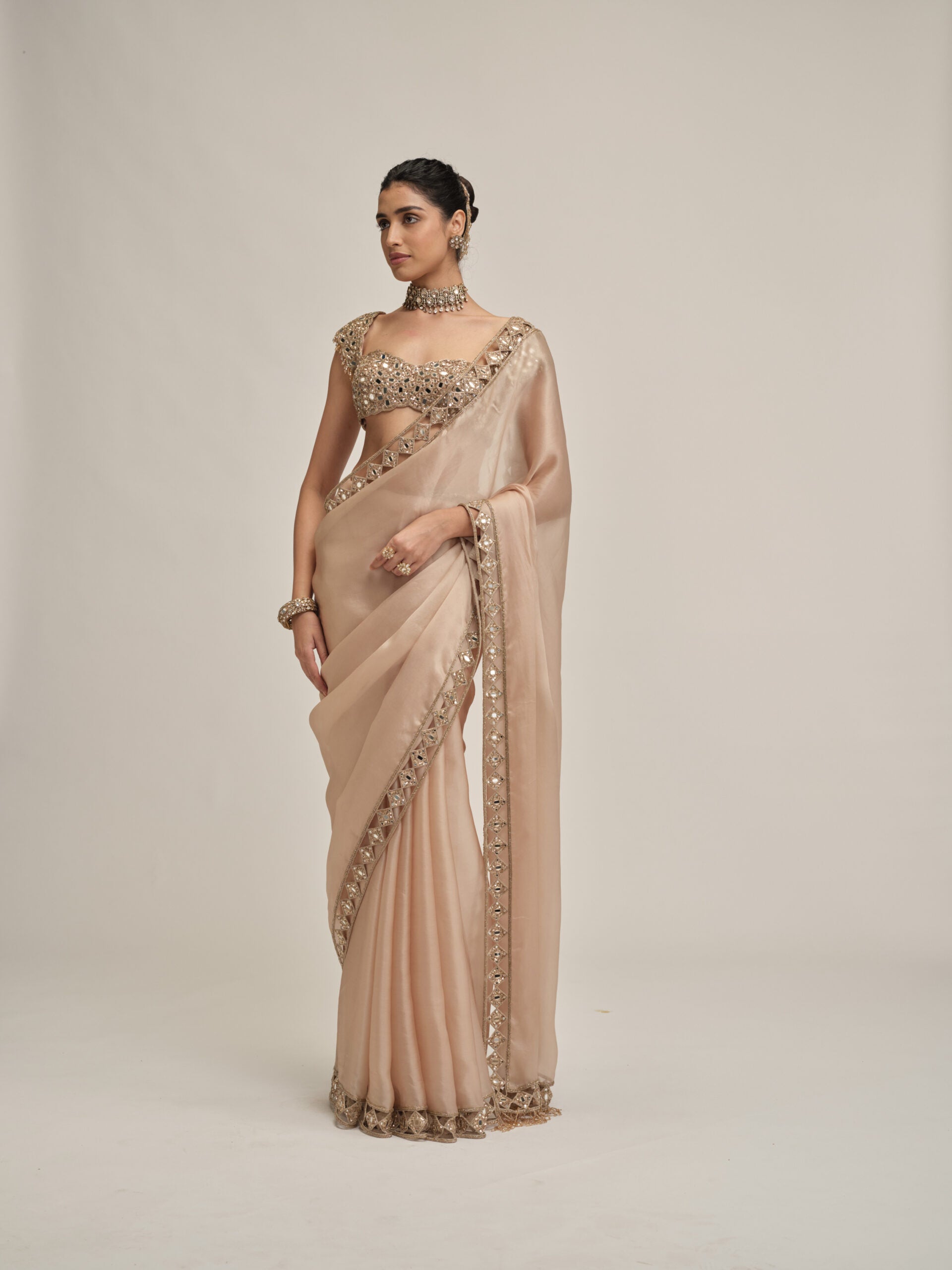 Light Beige Diamond Cutwork Border Saree Set 5