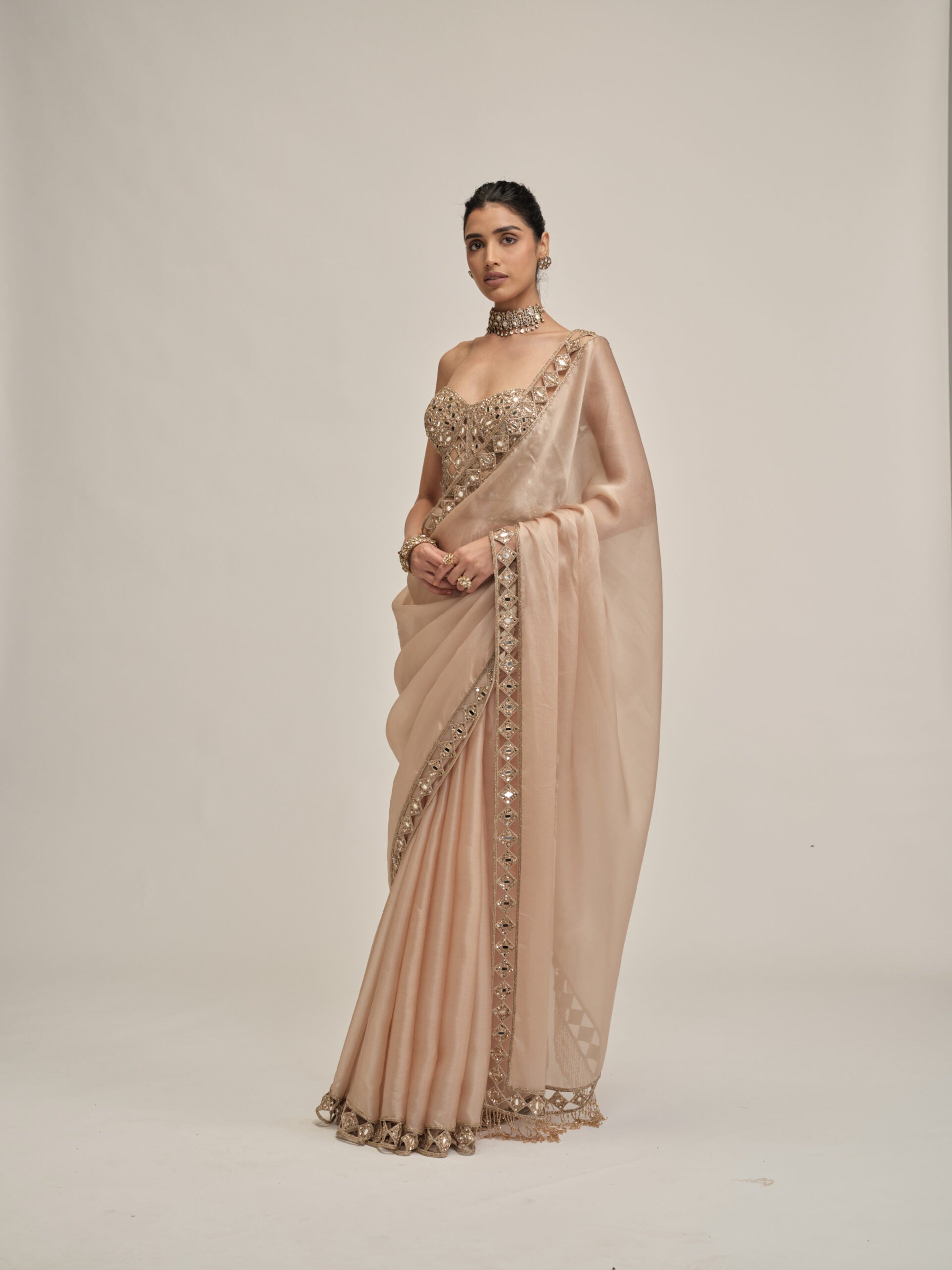 Light Beige Cutwork Border Saree With Corset Set 5