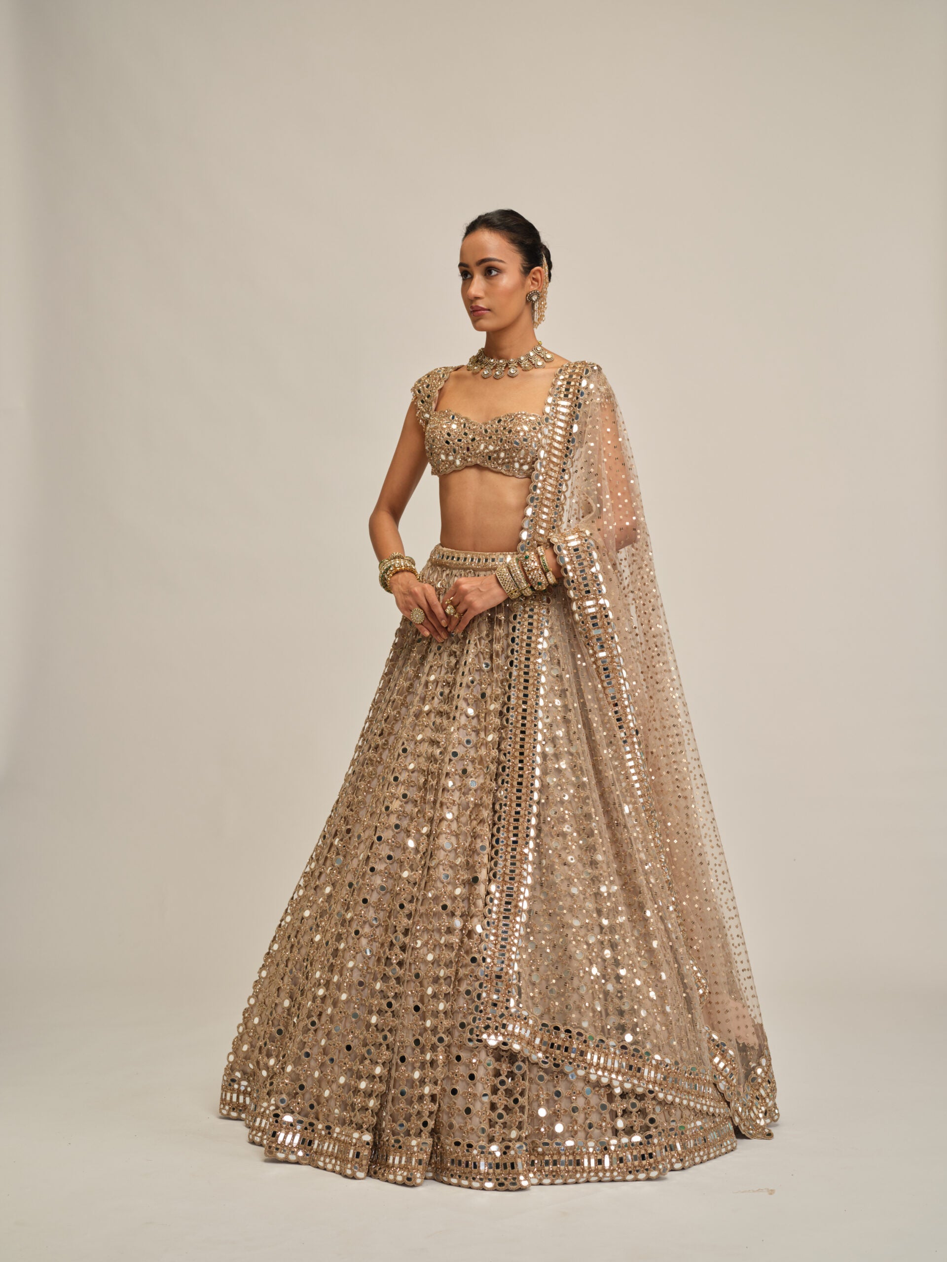 Light Beige Big Mirror Cutwork Lehenga Set 4