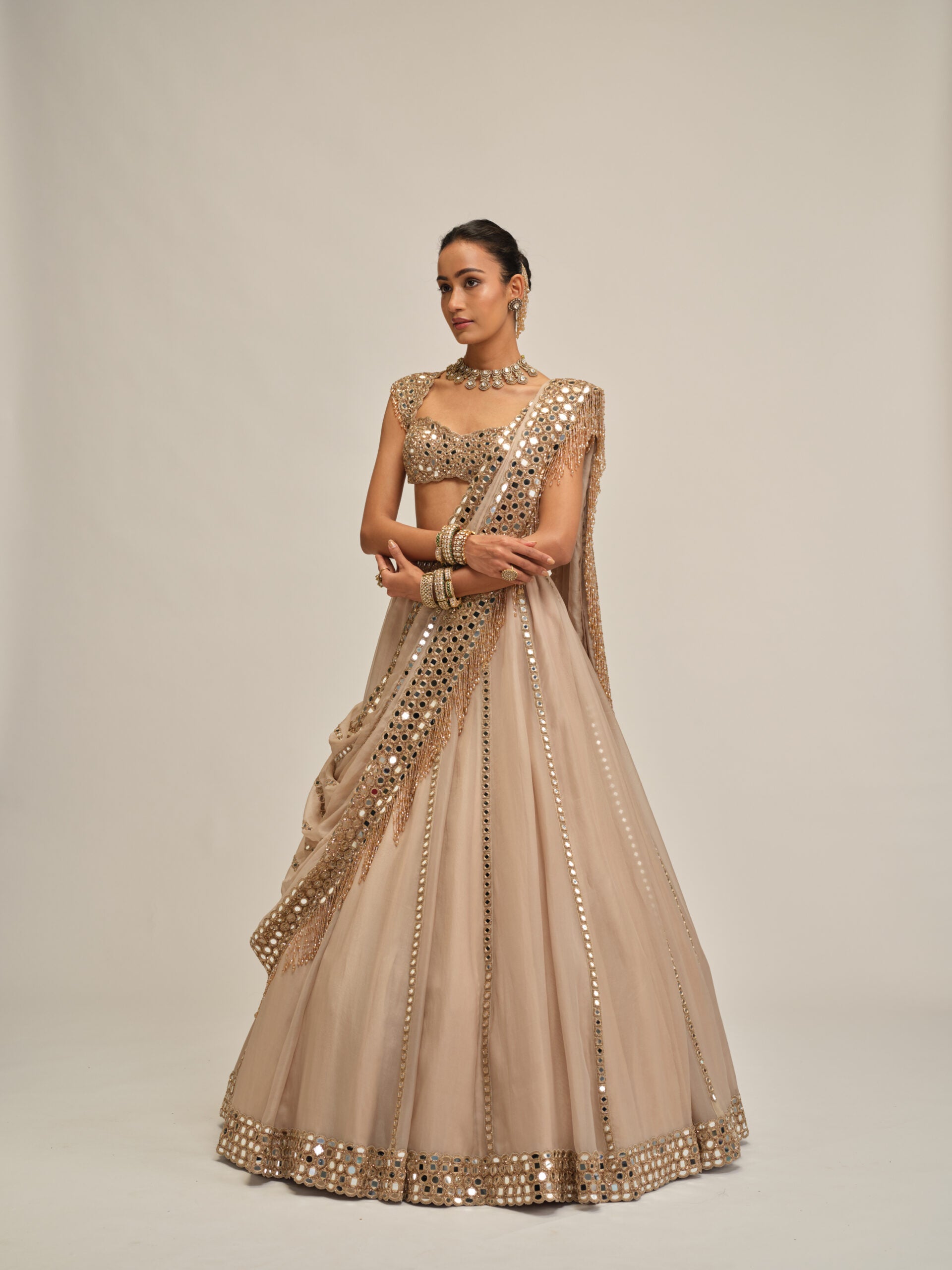 Light Beige Mirror Linear Embroiderd Lehenga Set 5