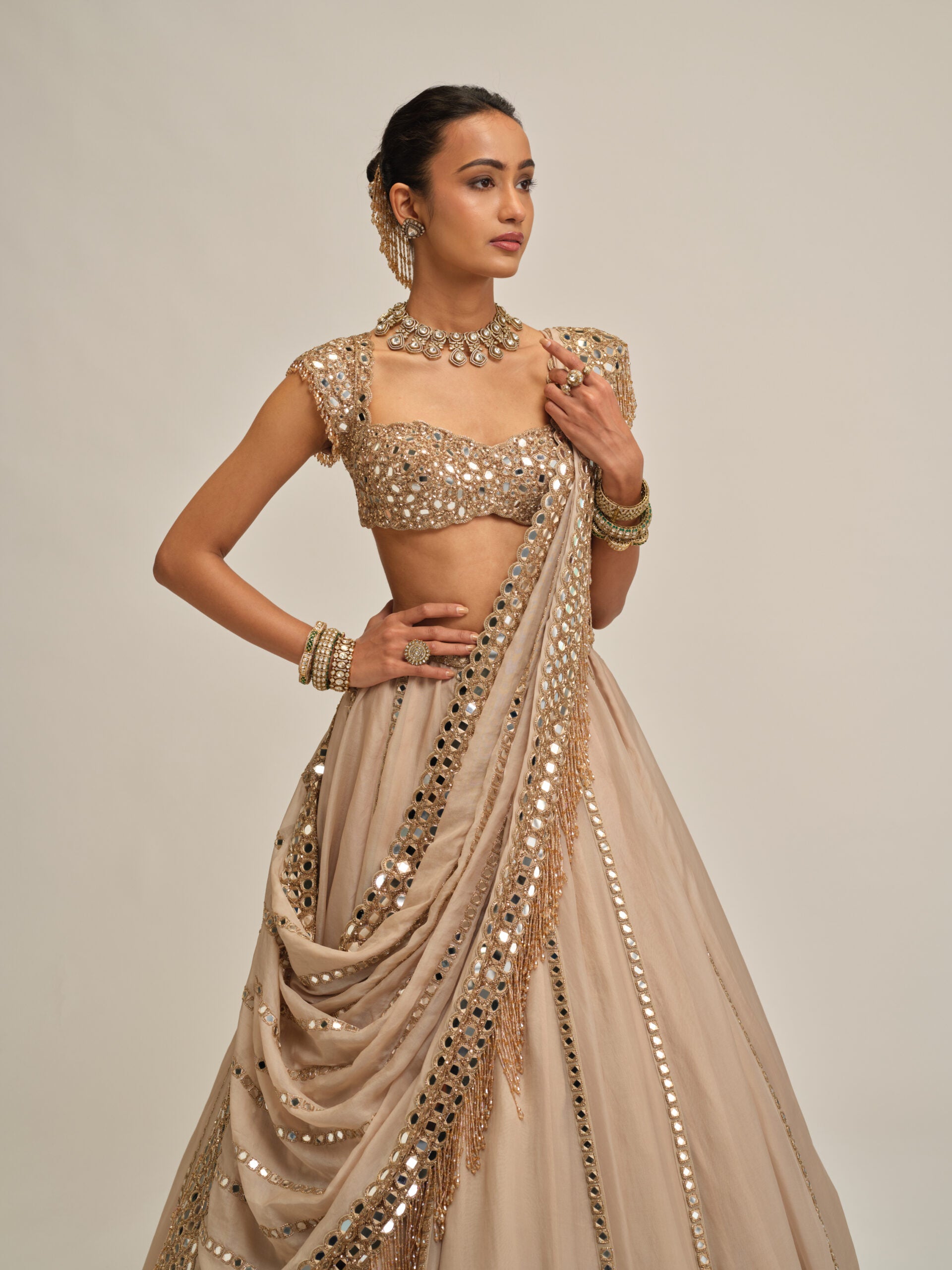 Light Beige Mirror Linear Embroiderd Lehenga Set 4