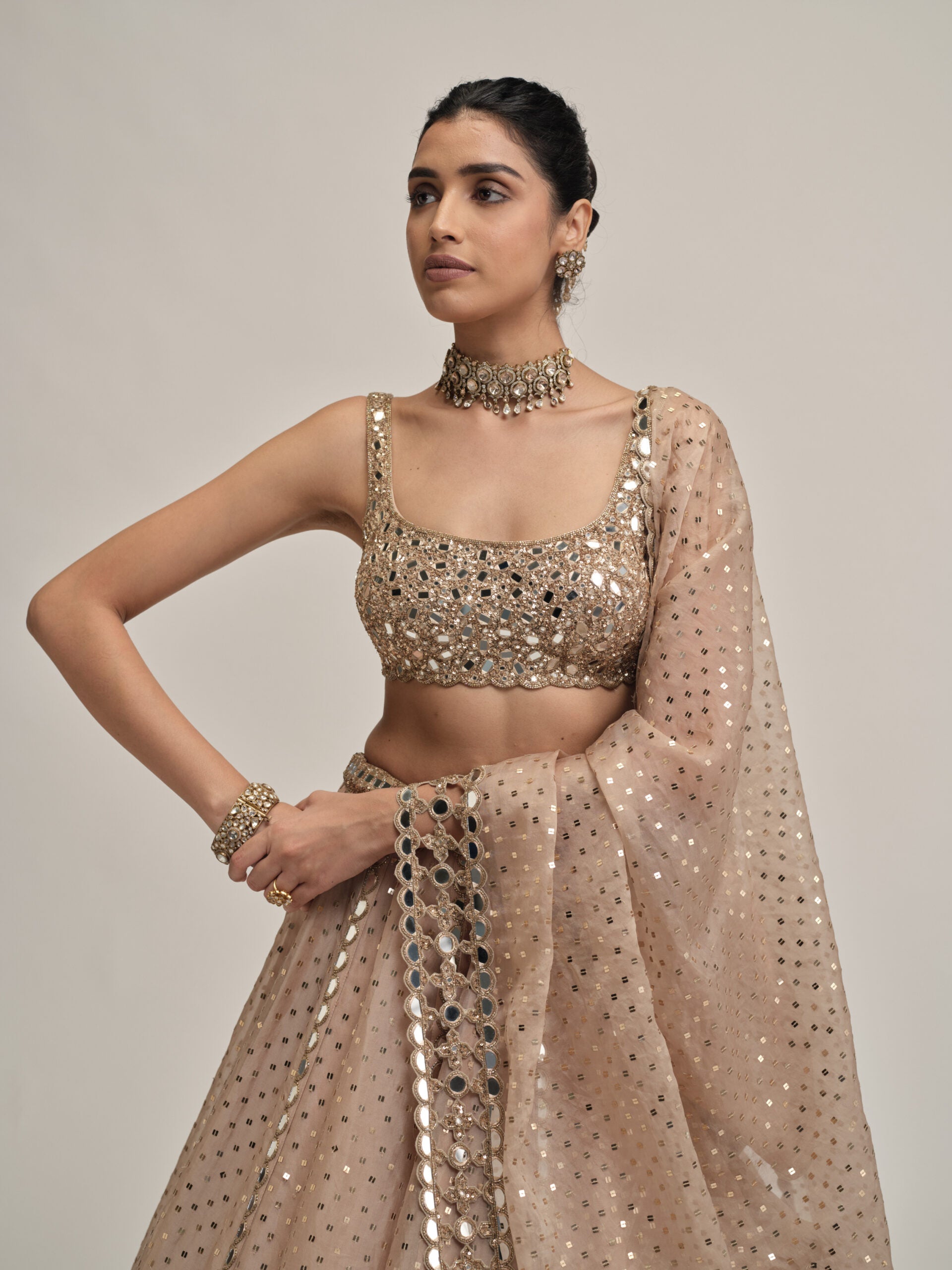 Light Beige Sequins Embroidered Lehenga Set 2