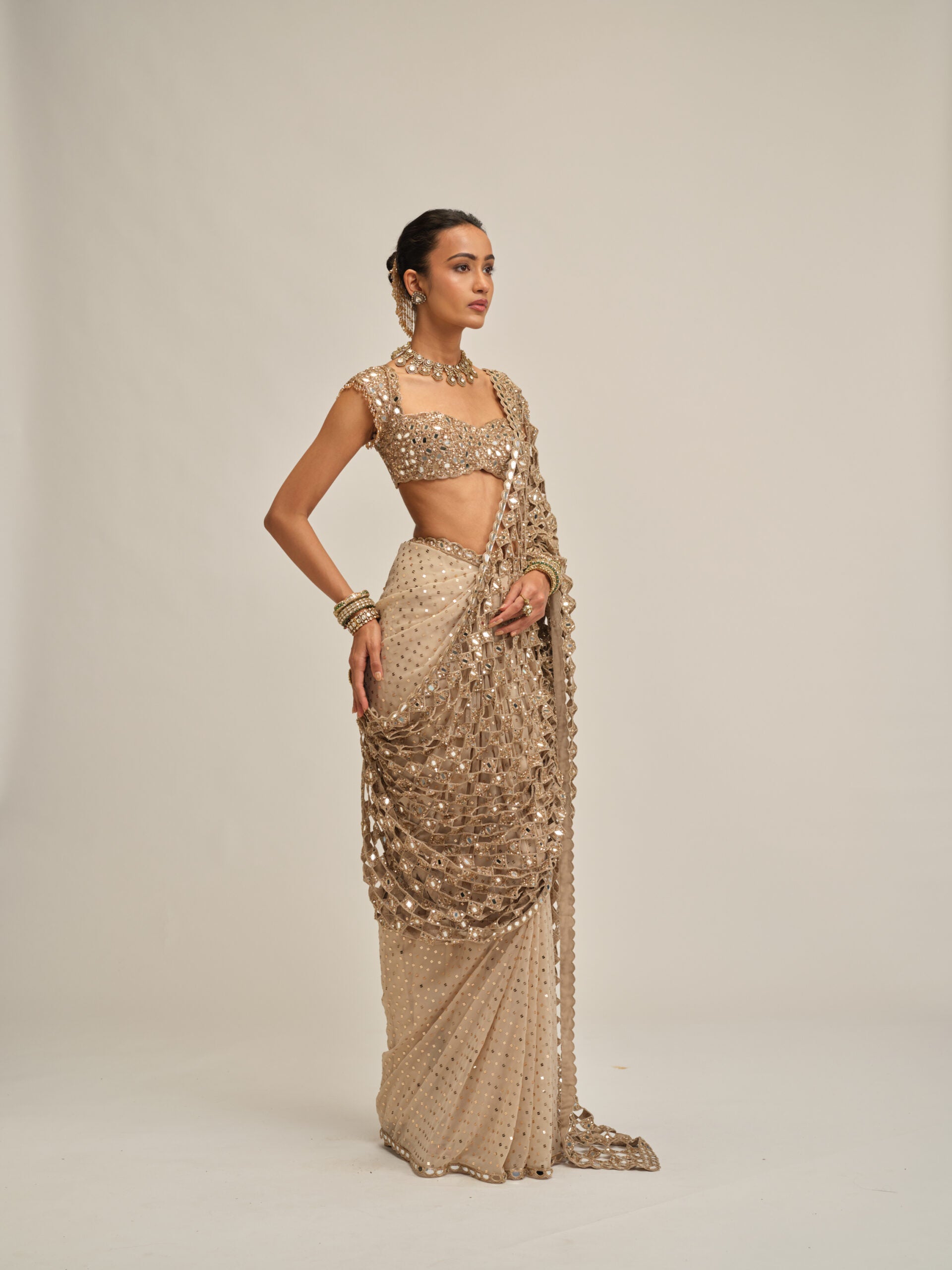Light Beige Cutwork Pallu Saree Set 4