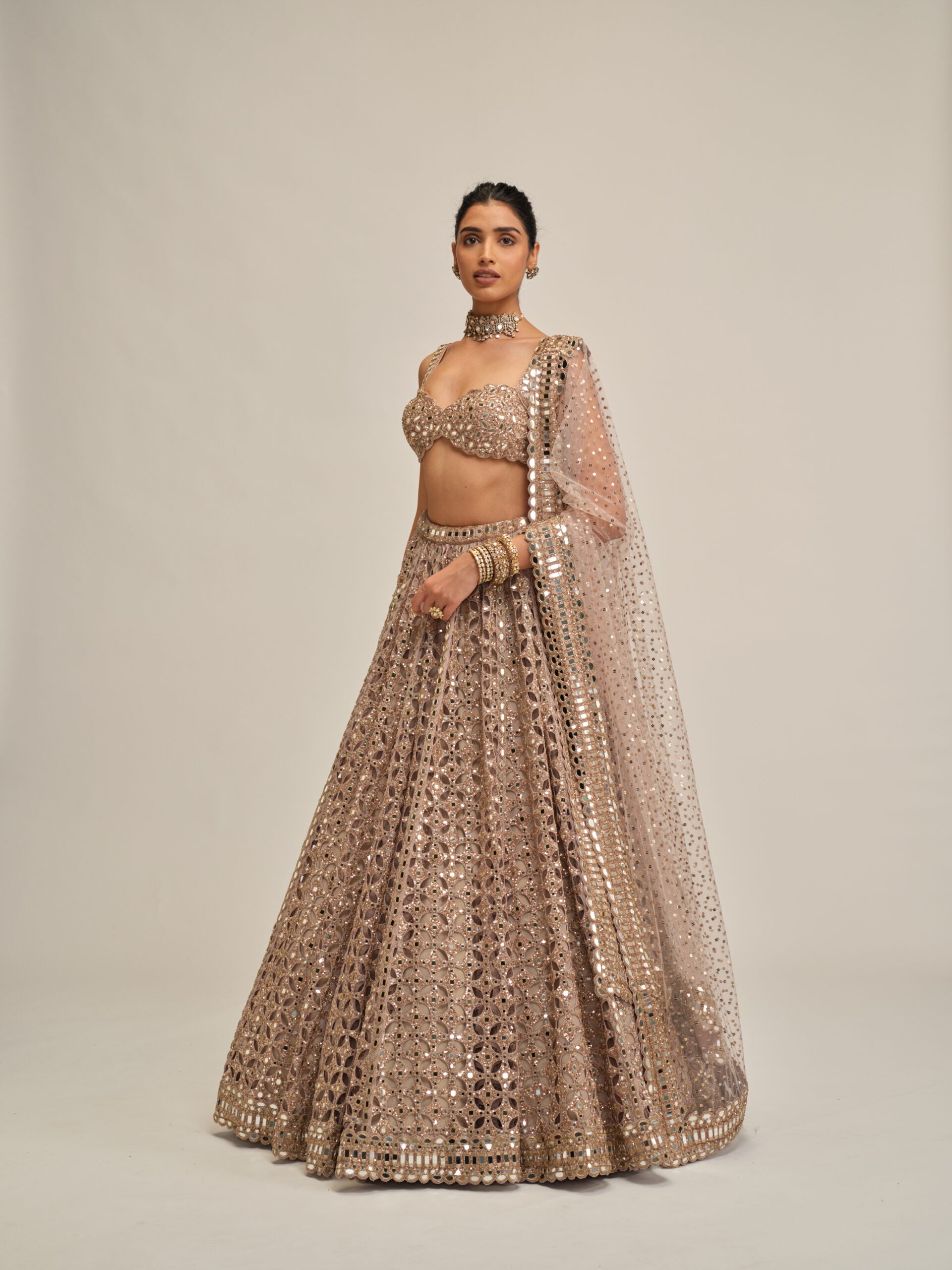 Ash Pink Circular Cutwork Lehenga Set 4