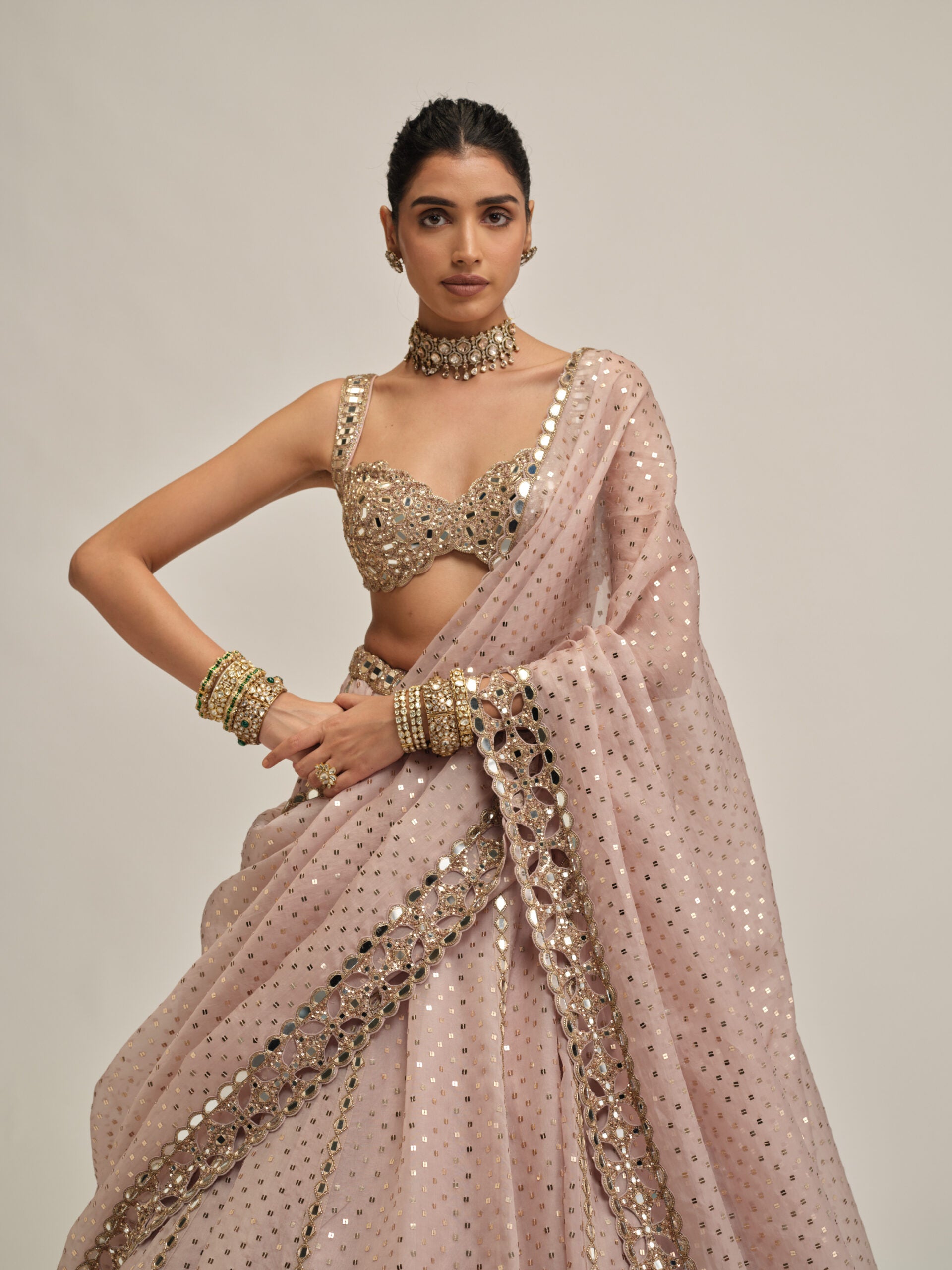 Ash Pink Linear Mirror Sequins Embroidered Lehenga Set 2