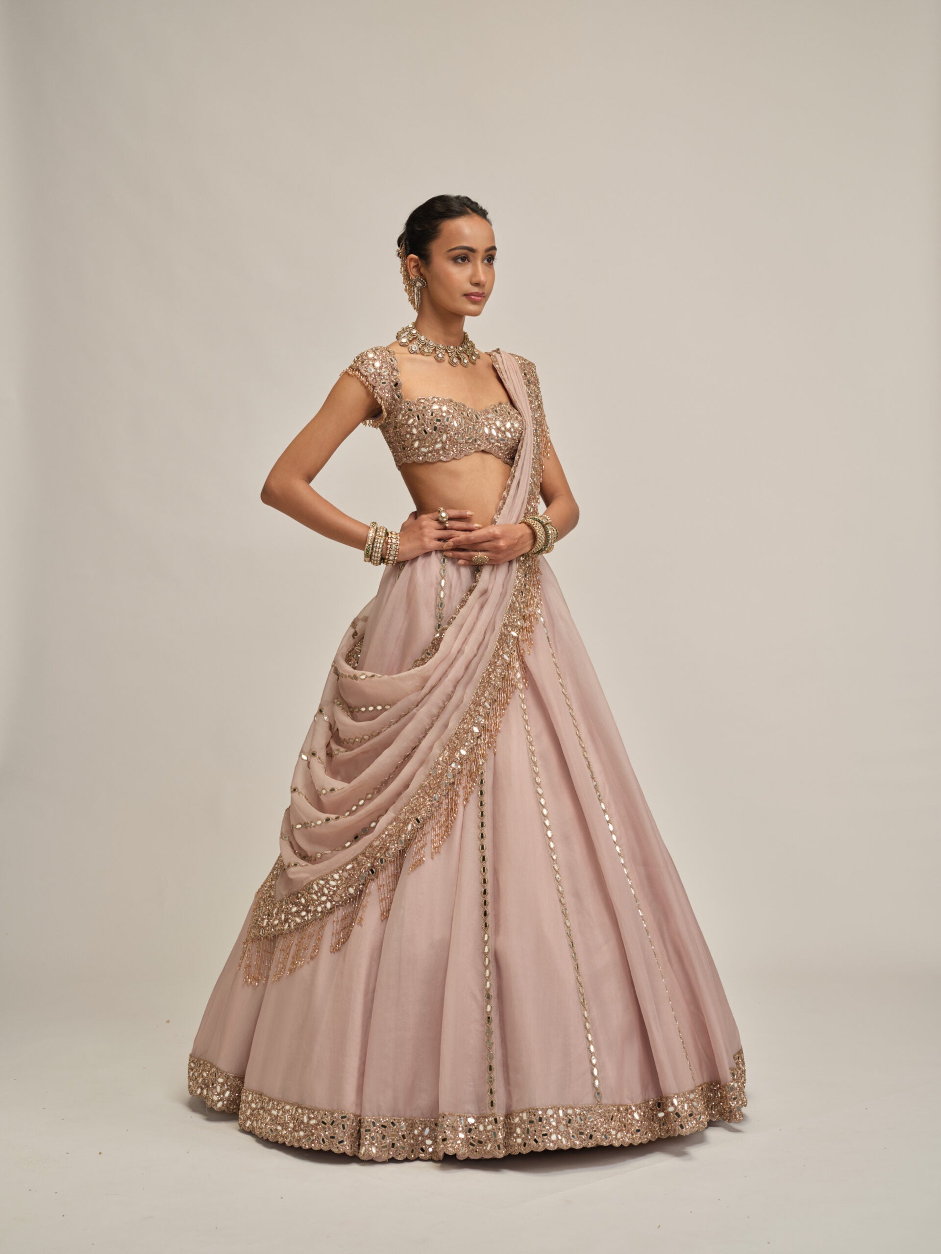 Ash Pink Mirror Linear Embroidered Lehenga Set 5