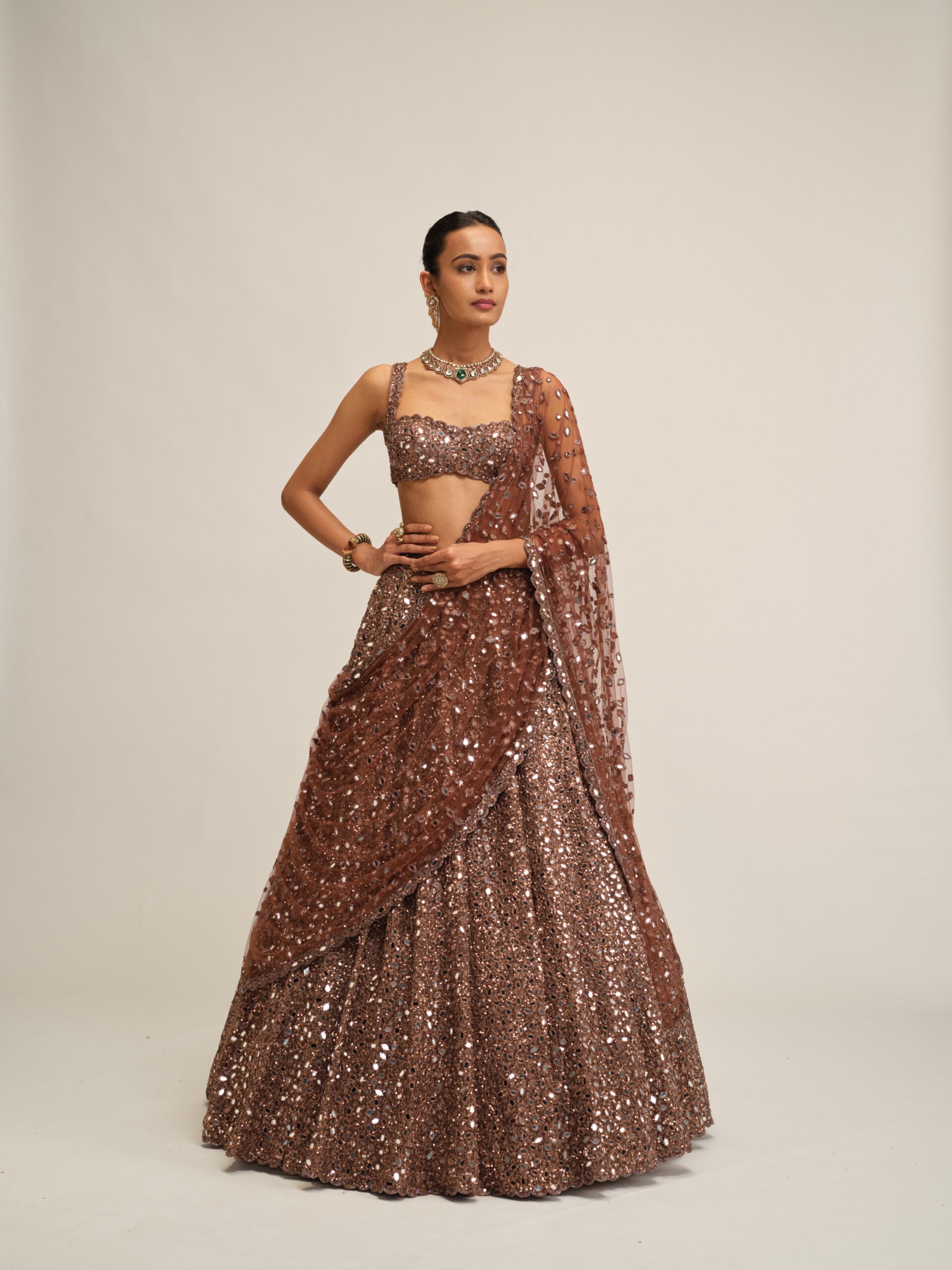 Deep Beige Mirror Embroidered Lehenga Set 4