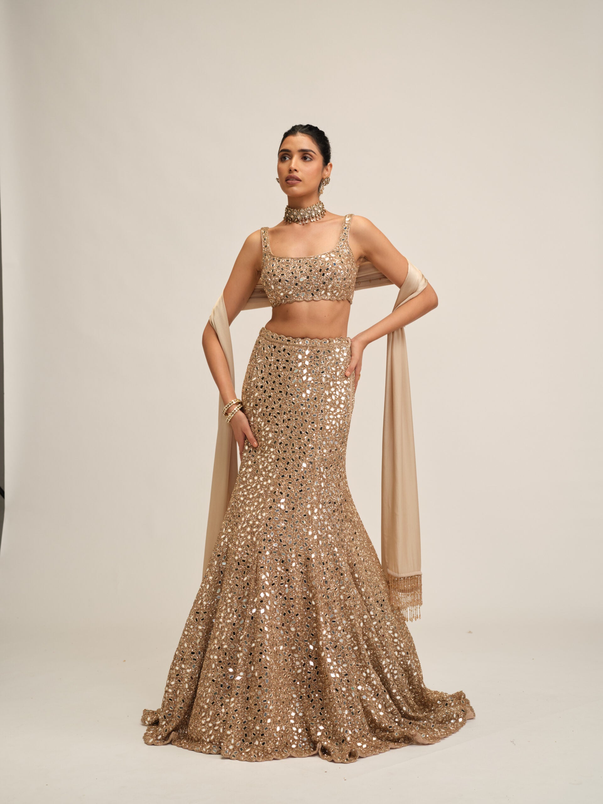 Light Beige Fishcut Lehenga Set 5