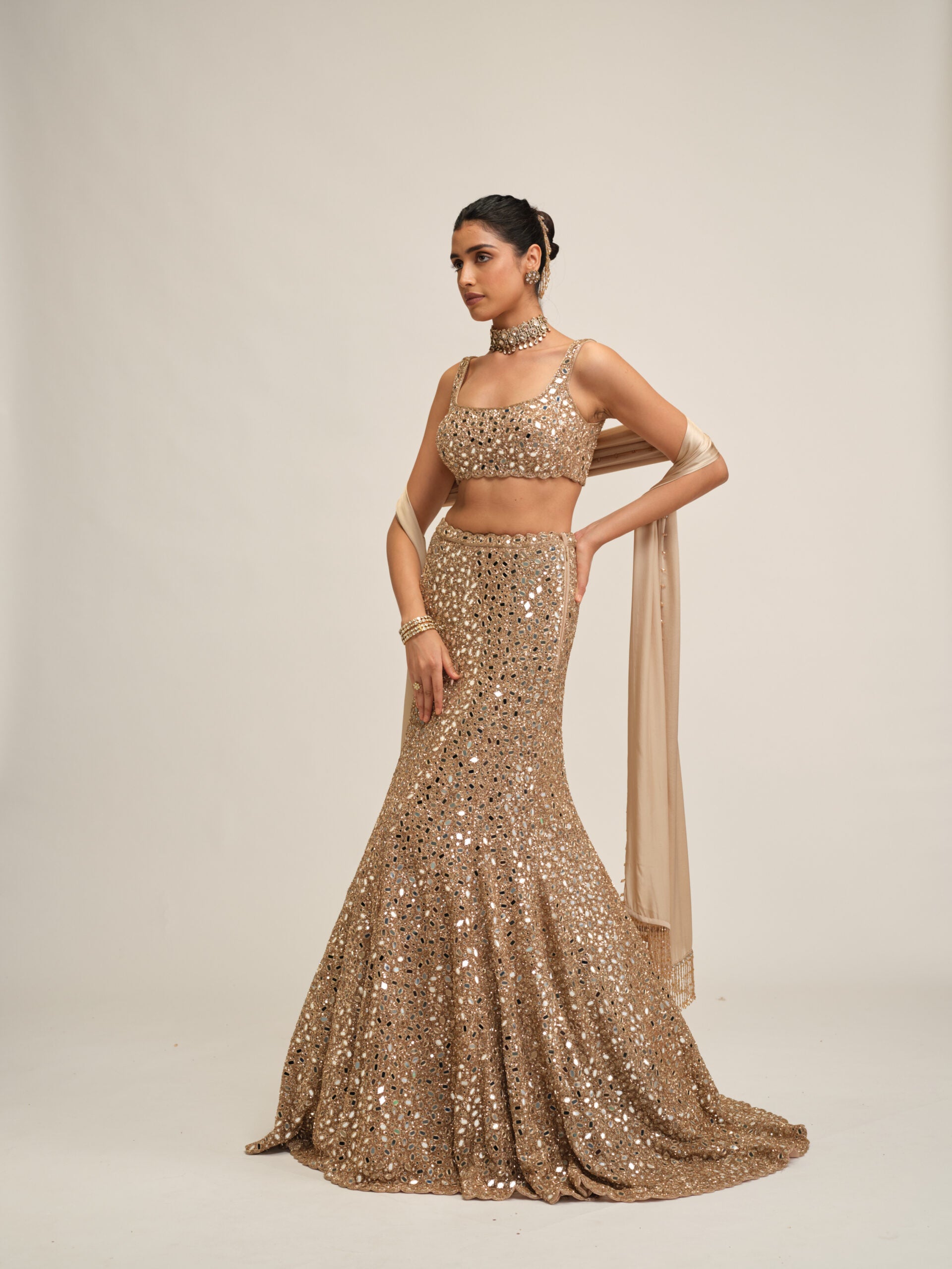 Light Beige Fishcut Lehenga Set 4