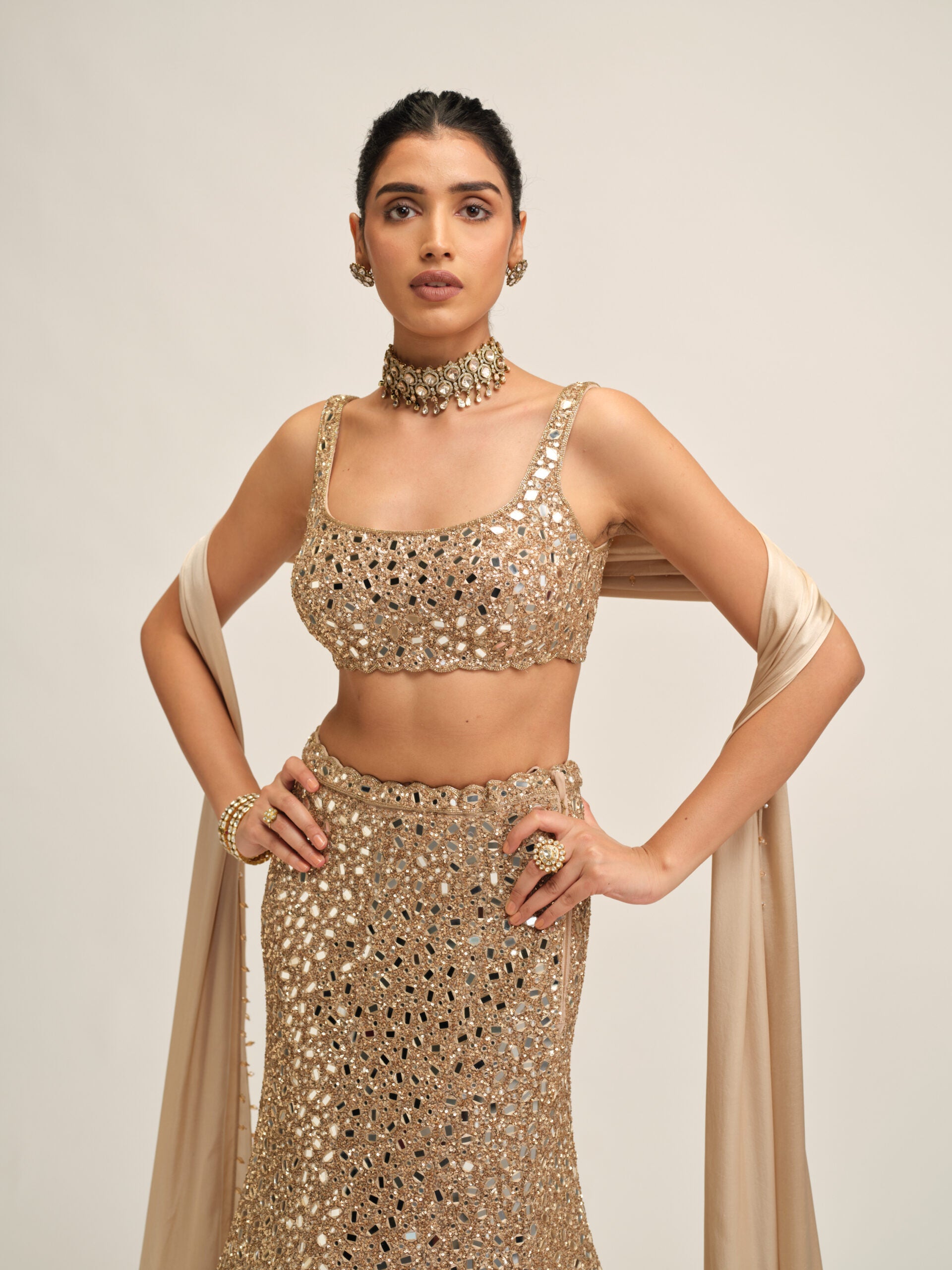 Light Beige Fishcut Lehenga Set 2
