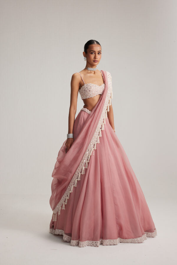 open lace back dress Dusty Rose Organza Mirror and Pearl Lehenga Set