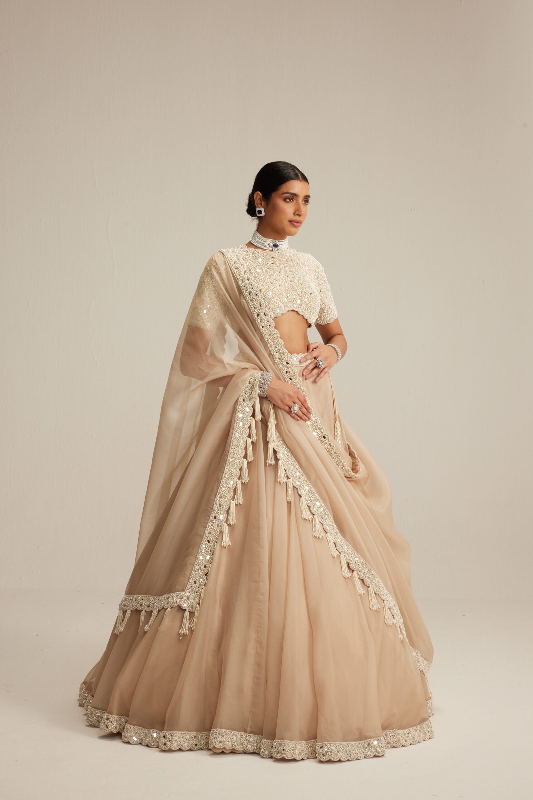 Light Beige Organza Lehenga Set with High Neck Blouse