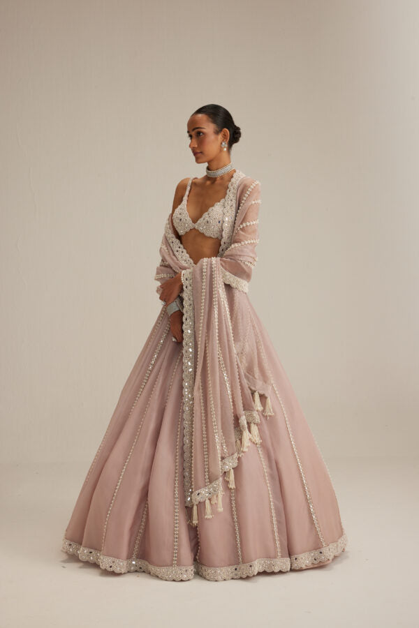 Ash Pink Pearl & Mirror linear Lehenga with V neck Blouse