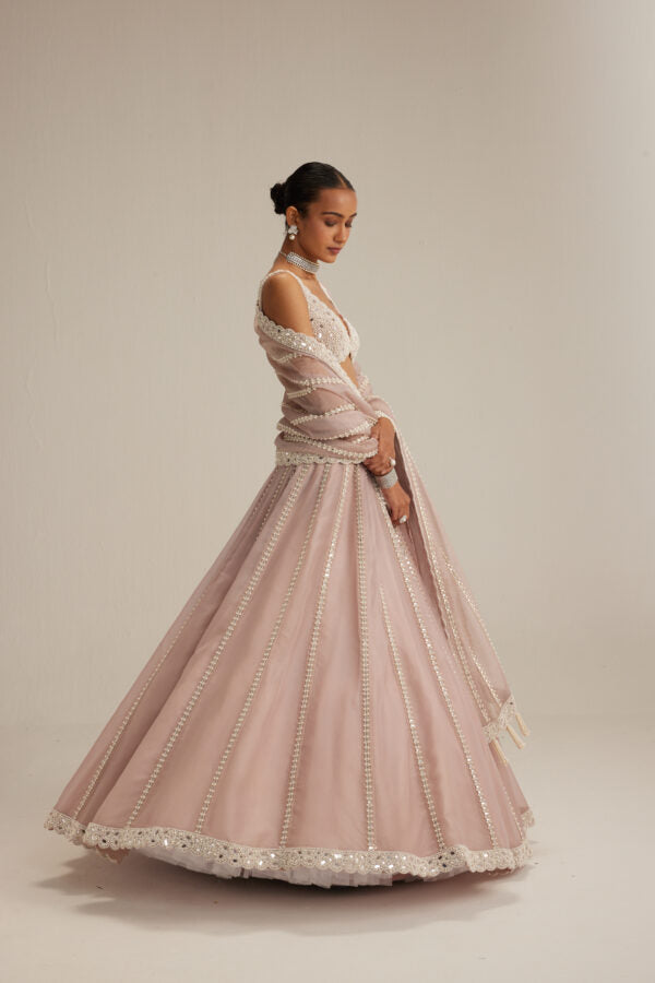 Ash Pink Pearl & Mirror linear Lehenga with V neck Blouse