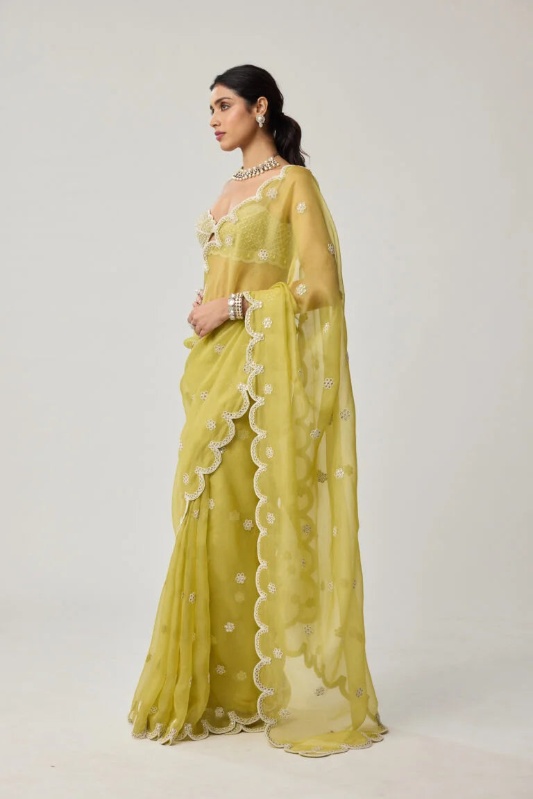 Fern Green Organza Mirror and Pearl Saree Set