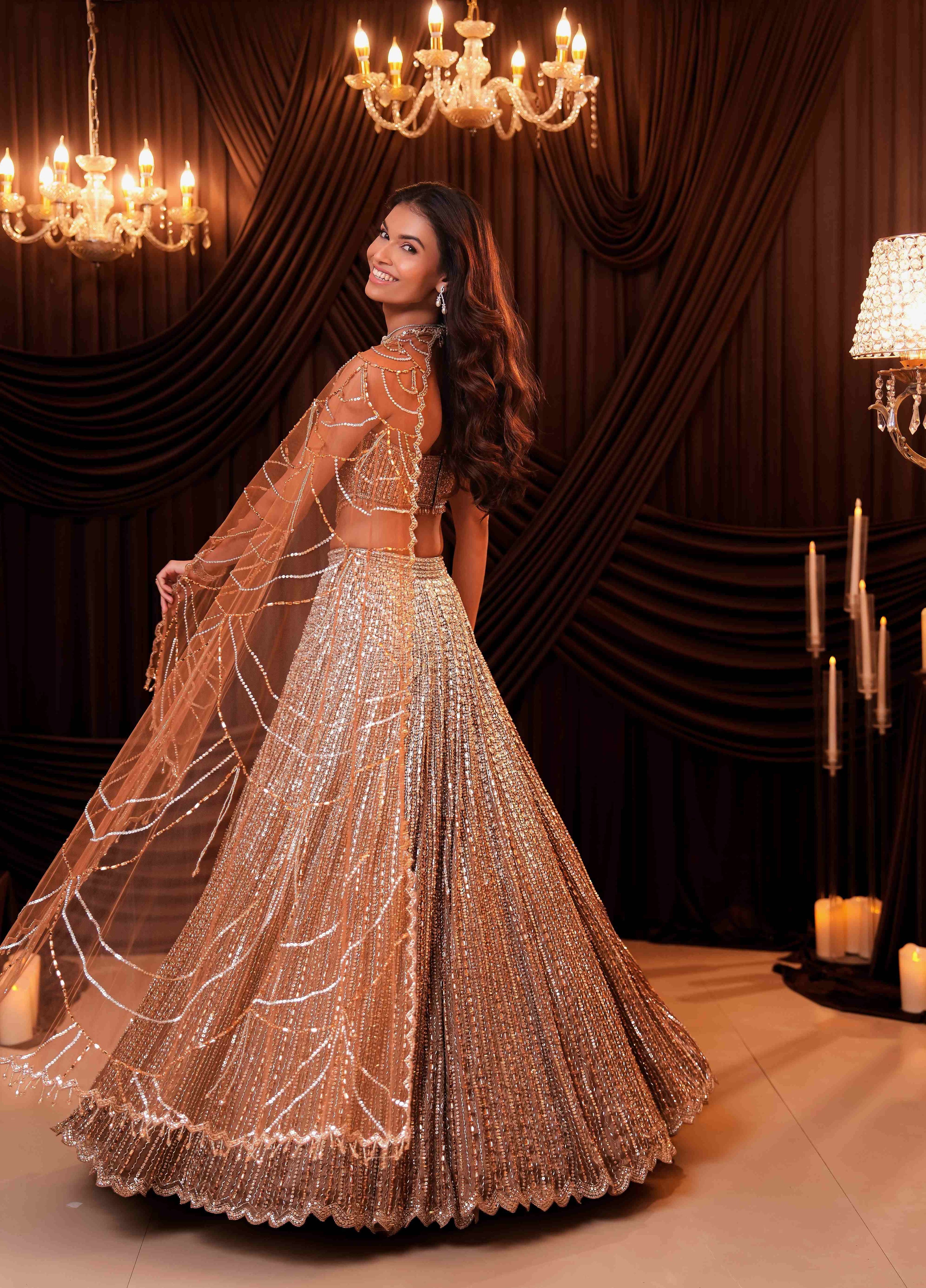 Alina Tissue Lehenga