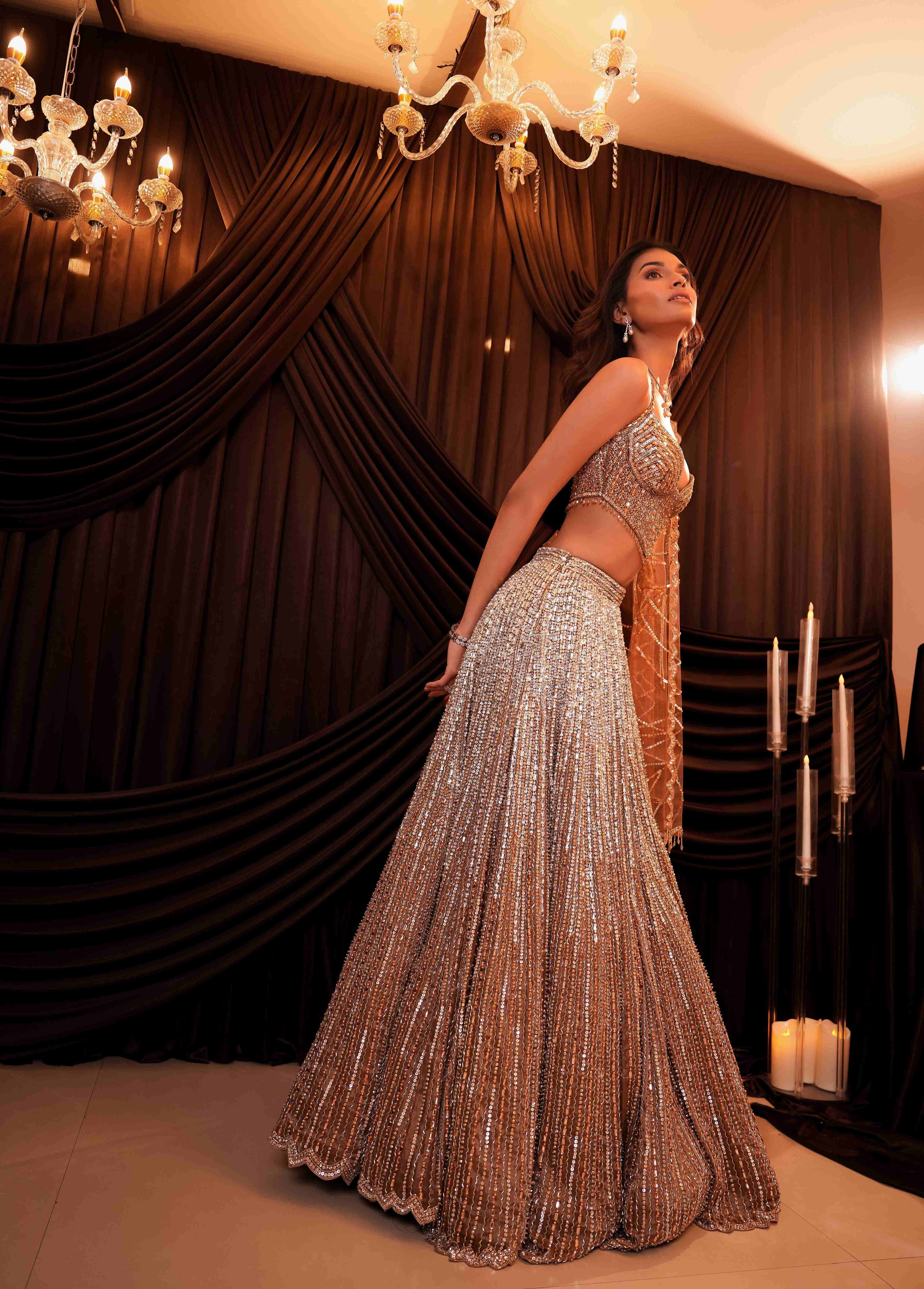 Alina Tissue Lehenga