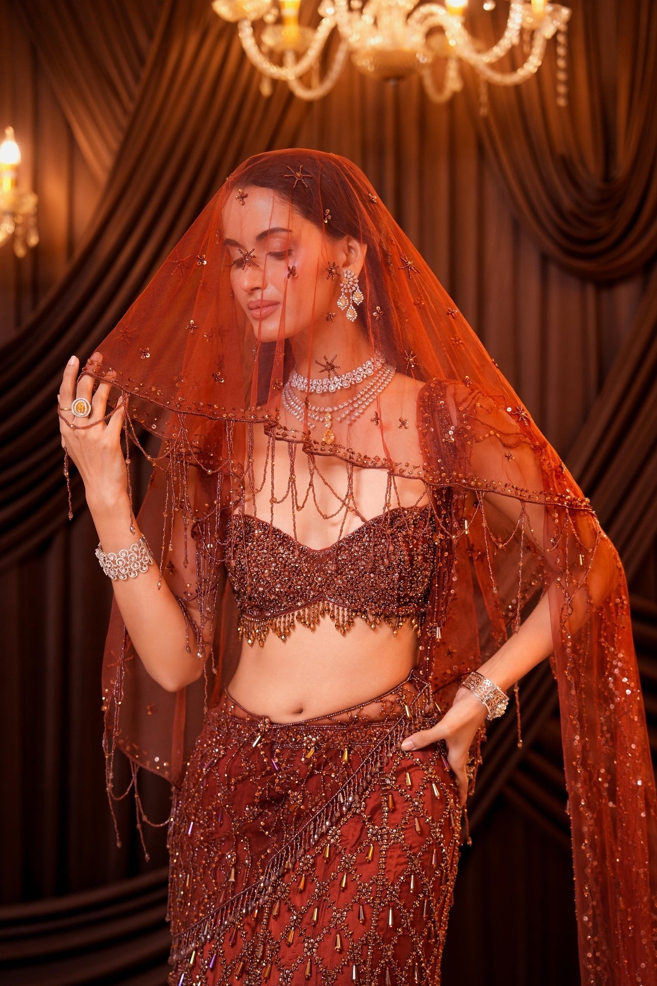 Caramel Brown Saree